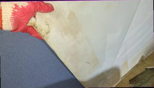강서구 누수탐지 벽체 주변 습도와 배관 연결부를 확인하는 현장 점검