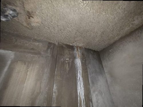 종로구 누수탐지 벽면 누수 흔적과 주변 상태를 단계적으로 확인하는 모습