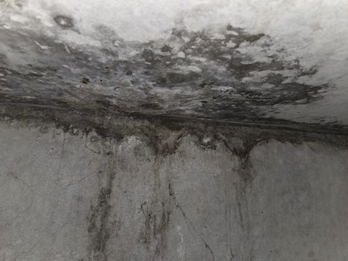 덕양구 누수탐지 능곡동 아파트 2층 현관 바닥 시공 후기 사진
