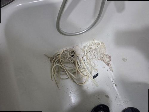 영통구 전화 연결