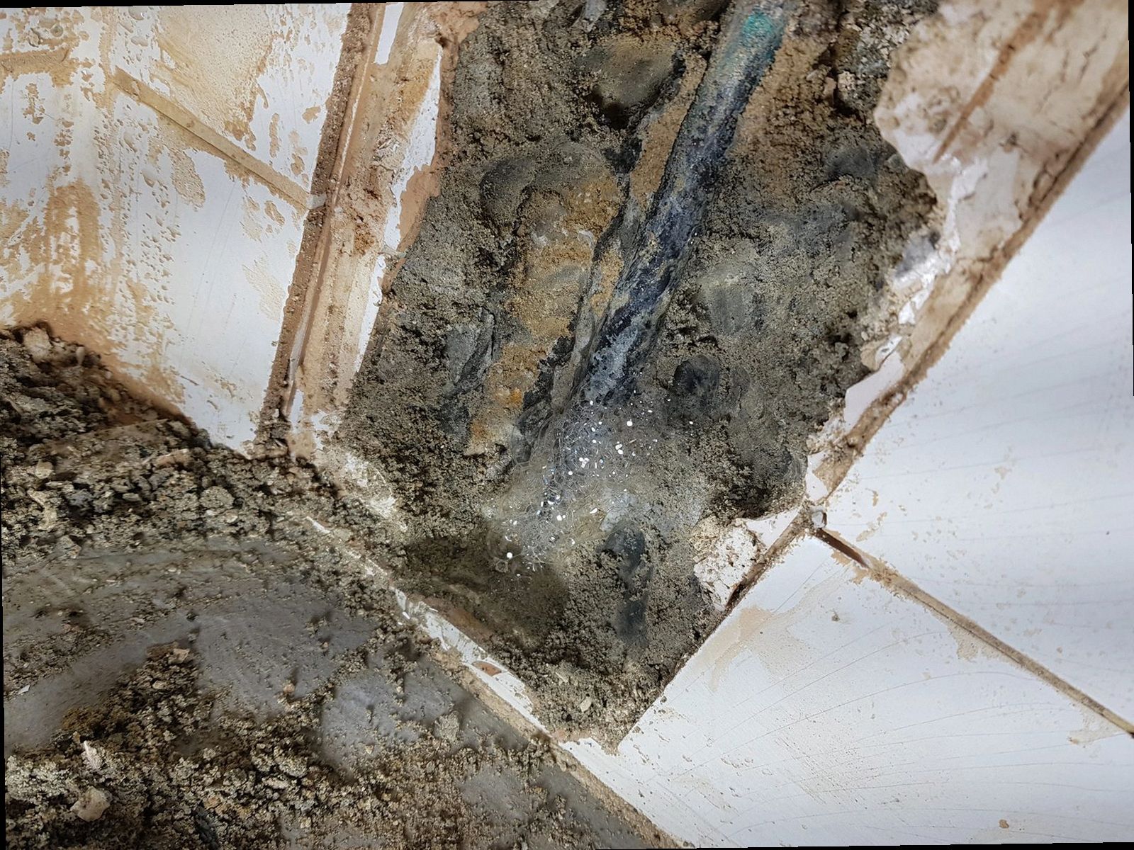 서울 중구 누수탐지 박*수 시공 후기 사진