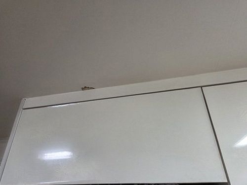 강서구 누수탐지 누수 부위 수리 후 천장 내부의 건조 상태를 확인하는 모습