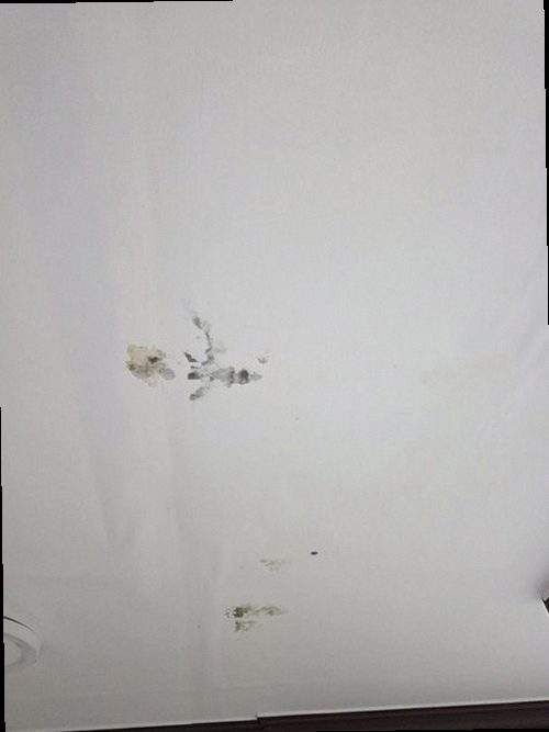 구로구 누수탐지 신도림동 빌라 1층 안방 바닥 시공 후기 사진