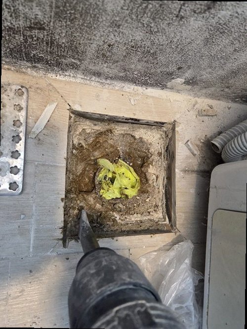 성북구 누수탐지 벽지 얼룩과 주변 마감 상태를 확인하는 모습