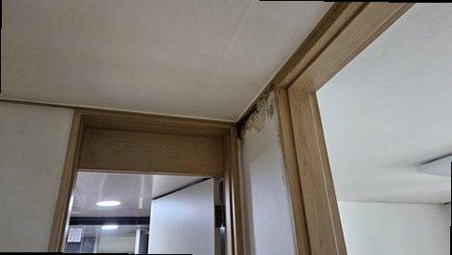 송파구 누수탐지 오금동 아파트 11층 세탁실 시공 후기 사진