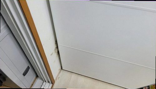 누수탐지 강하면 누수탐지 누수점검 누수 원인 검증의 기본 정리