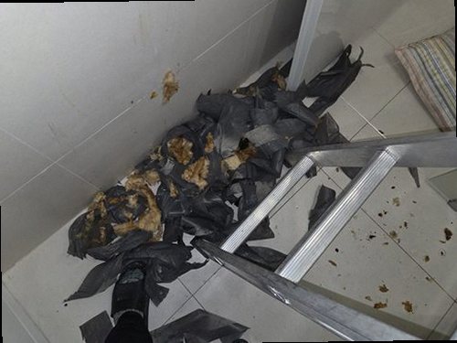 동두천 누수탐지 송내동 아파트 10층 거실 시공 후기 사진