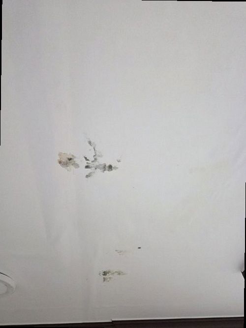 덕양구 누수탐지 토당동 아파트 10층 욕실 옆 다용도실 시공 후기 사진