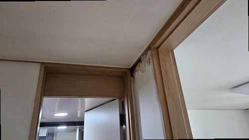 수정구 누수탐지 천장 누수