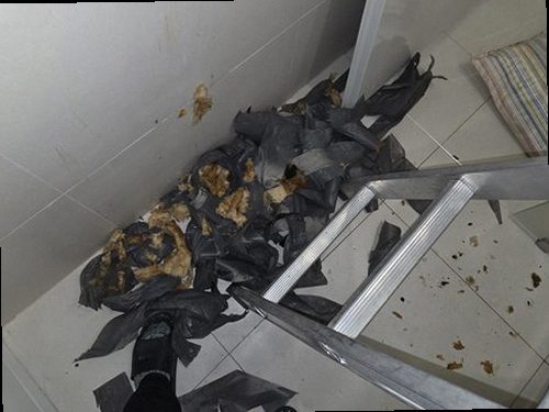 수지구 누수탐지 풍덕천동 오피스텔 7층 거실 천장 시공 후기 사진