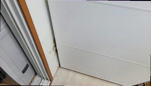 누수탐지 선원면 누수탐지 누수수리얼룩 벽 얼룩 뒤에 숨은 원인 찾기