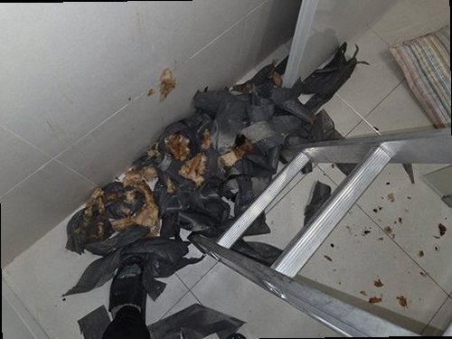 옹진군 누수탐지 대청면 아파트 4층 거실 바닥 시공 후기 사진