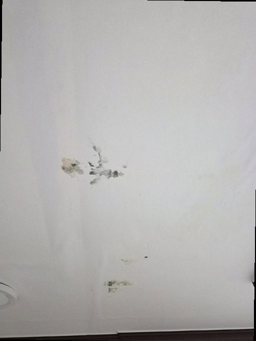 노원구 현장 확인