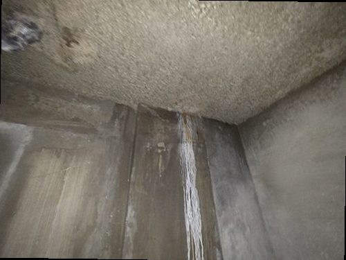 안성 누수탐지 천장 얼룩과 주변 표면 상태를 확인하는 모습