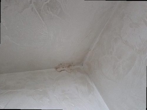 성동구 누수탐지 용답동 빌라 지하 창고 벽면 시공 후기 사진