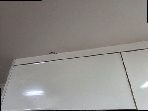 양주 누수탐지 누수 흔적과 주변 바닥 상태를 함께 확인하는 모습