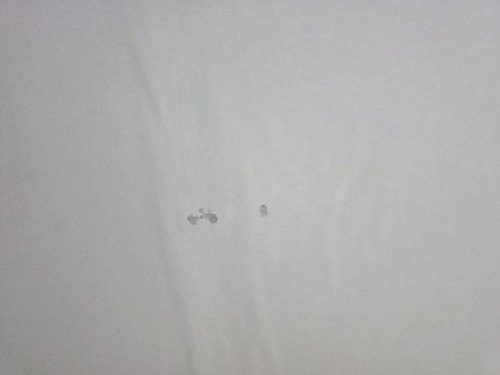 누수탐지 측정 장비로 벽면의 수분 분포를 확인하는 과정