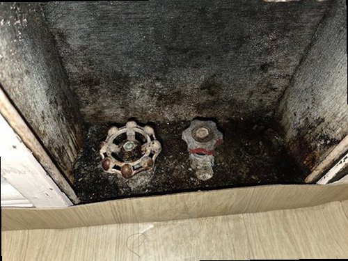 서대문구 누수탐지 연희동 단독주택 1층 서재 벽면 시공 후기 사진