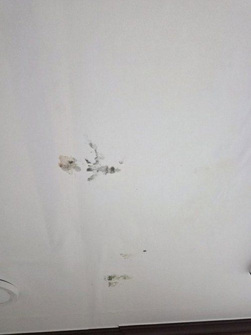 누수탐지 홍은동 누수탐지에서 놓치기 쉬운 원인 구분