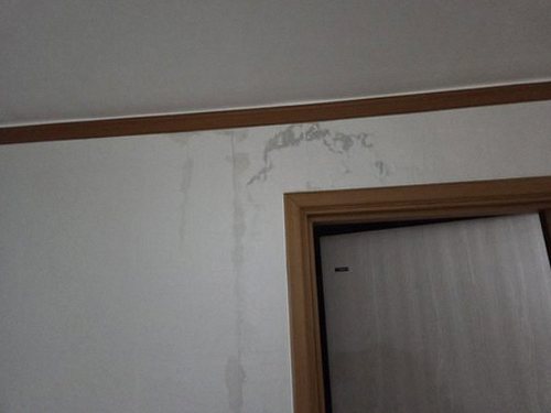 누수탐지 벽지 모서리 얼룩이 관찰되는 욕실 인접 벽면