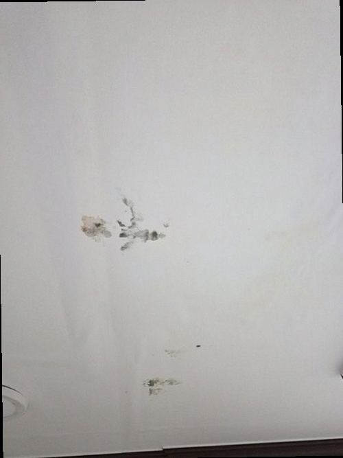 시흥 누수탐지 거실 천장과 벽면에 번진 물자국의 위치를 살펴보는 모습