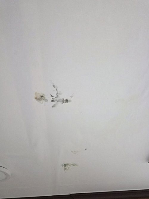 양평 현장 확인