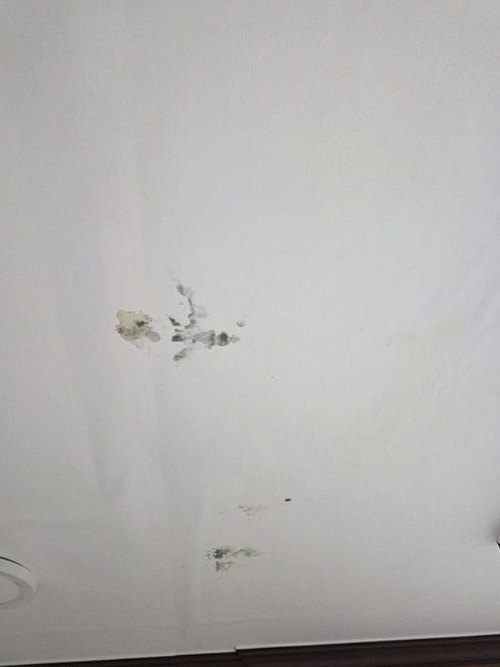 누수탐지 운정동 누수탐지란 무엇인가 아파트 거실 천장 얼룩 원인
