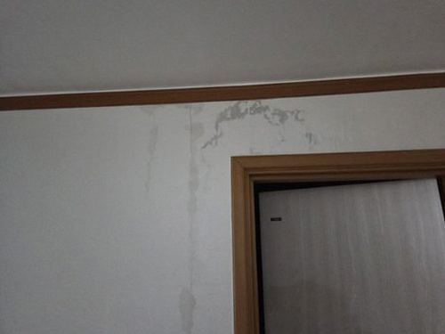 누수탐지 감이동 누수탐지 벽지물기변색 신호를 처음 구분하는 기준 정리