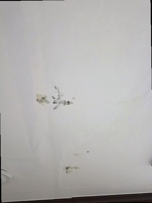 동두천 누수탐지 상패동 아파트 4층 거실 벽면 시공 후기 사진