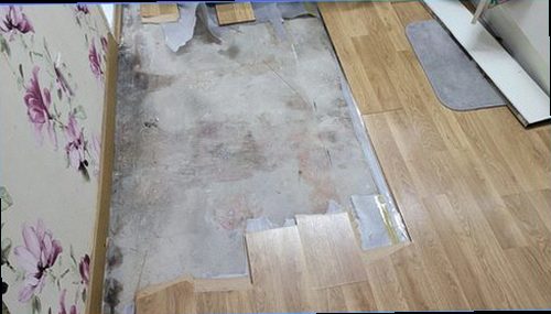 분당구 누수탐지 샤워기 연결부와 욕실 벽면의 누수 흔적을 확인하는 현장