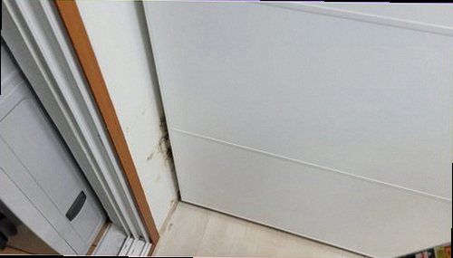 단원구 누수탐지 벽지 얼룩과 습기 흔적을 확인하는 점검 모습