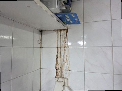 이천 누수탐지 누수 흔적과 배관 점검 과정을 비교하는 모습