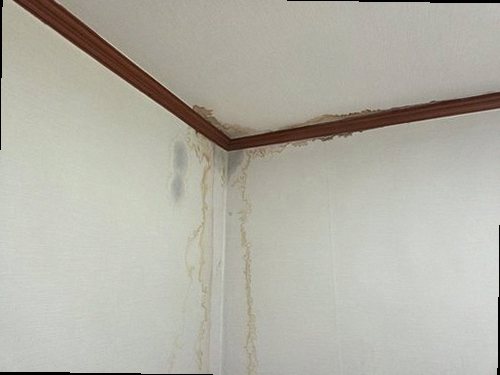 미세누수 정밀탐지 서해구·검단구 누수탐지 미세누수 정밀탐지