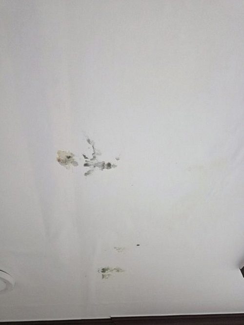 영종구 현장 확인
