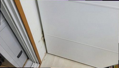 누수탐지 벽지 얼룩과 벽면 습기 상태를 비교하는 점검 모습