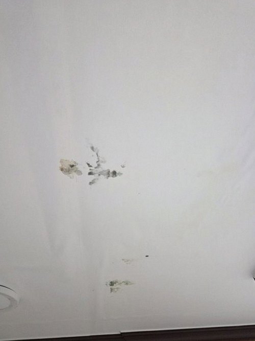 누수탐지 점검 내용과 보수 범위를 기록하고 확인하는 장면