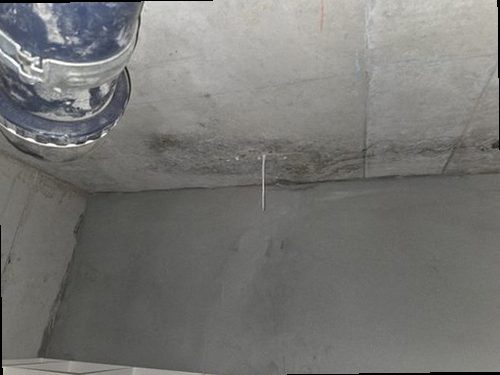 파주 누수탐지 벽면 얼룩과 주변 습윤 상태를 확인하는 점검 장면