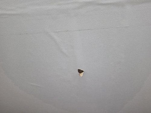 누수탐지 시흥동 누수탐지 누수공사비용 미루면 배관 손상 키웁니다