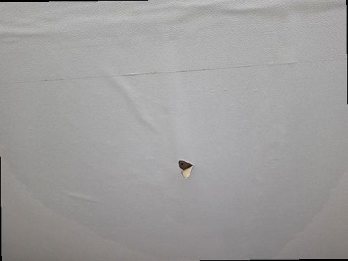 은평구 누수탐지 구산동 아파트 11층 거실 바닥 시공 후기 사진