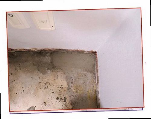 서대문구 누수탐지 천장 얼룩과 벽지 변색 등 누수 의심 흔적을 확인하는 모습