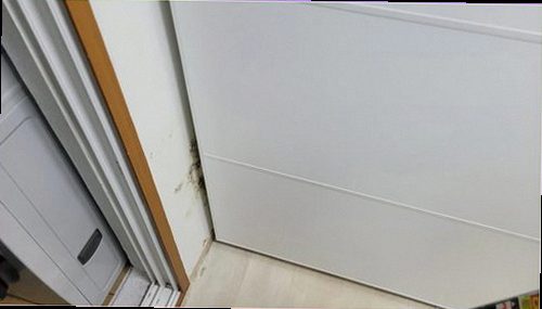 안성 누수탐지 안방 천장에 번진 습윤 자국과 물방울을 확인하는 현장 점검 모습