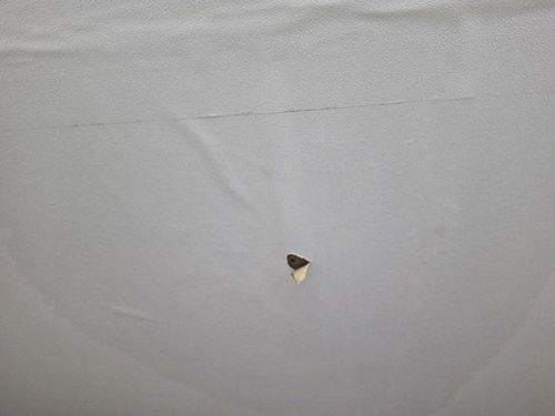 누수탐지 가남읍 누수탐지 직접 해보니 아파트 거실 천장 얼룩 원인