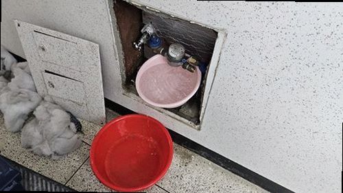 하남 재점검 기록 하남 재점검 기록
