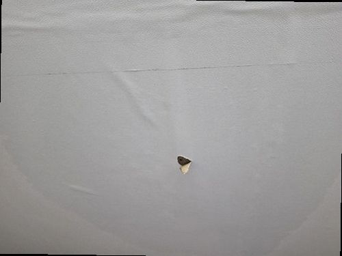 누수탐지 점검 결과를 한 장으로 정리한 보고서와 측정 기록