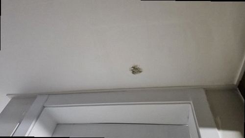 미세누수 정밀탐지 의정부 누수탐지 미세누수 정밀탐지