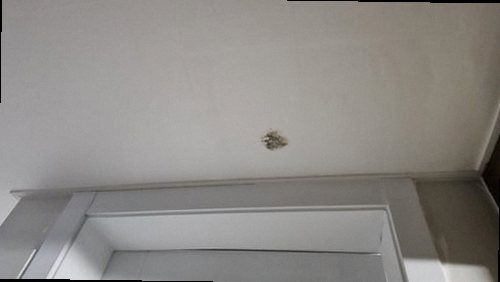 만세구 누수탐지 미세누수 정밀탐지