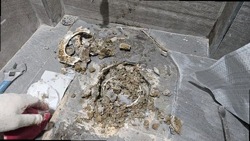 부평구 누수탐지 청천동 빌라 4층 욕실 옆방 벽면 시공 후기 사진