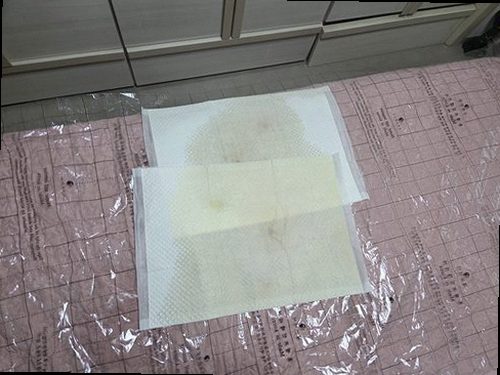 원미구 누수탐지 천장 얼룩과 주변 배관 위치를 확인하는 점검 장면