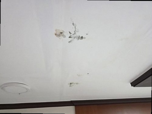 중랑구 누수탐지 면목본동 빌라 1층 세탁실 벽면 시공 후기 사진