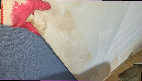 서대문구 누수탐지 누수 점검 전 벽면 주변과 수도 시설을 정리한 준비 상태
